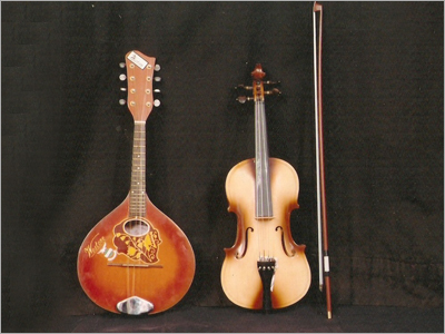 वायोलिन