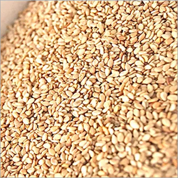 सामान्य खेती में भुने हुए छिलके वाले तिल के बीज