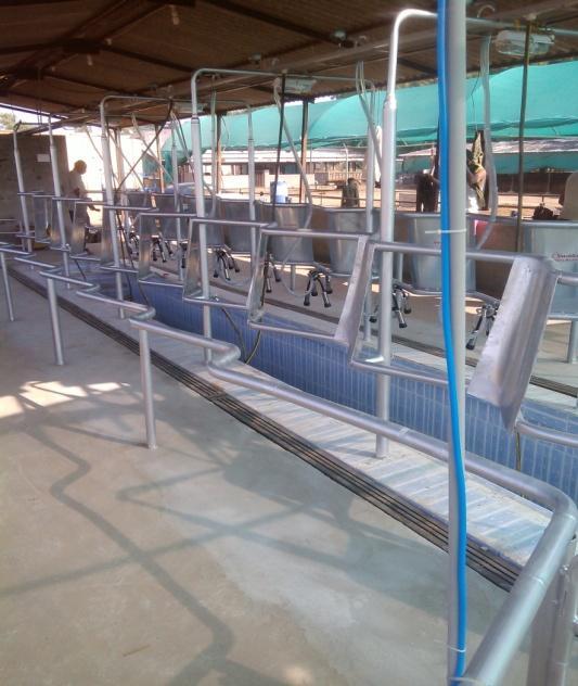 Good Quality Milking Parlour