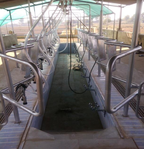 Good Quality Milking Parlour