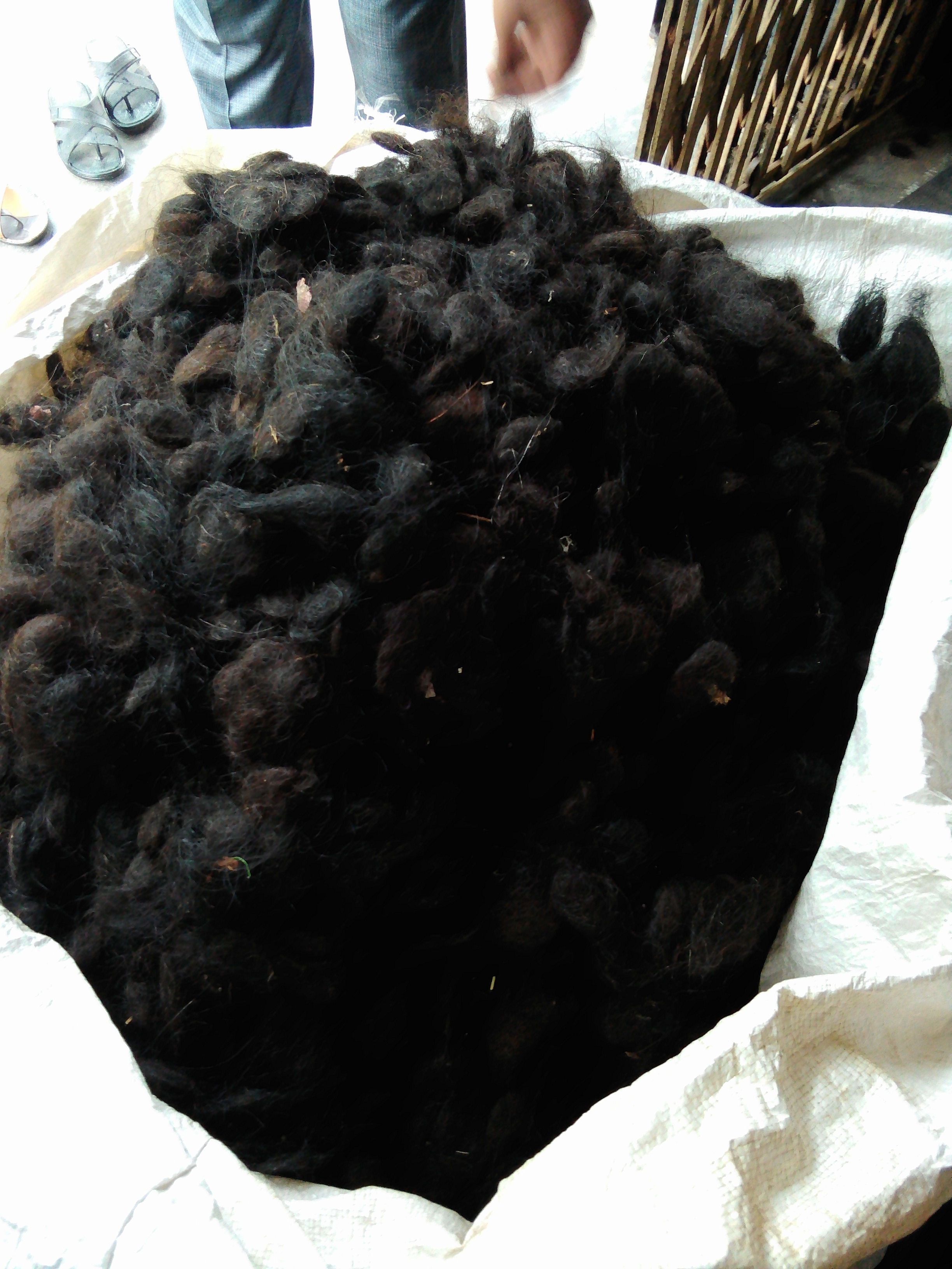 Indian Hair Roll