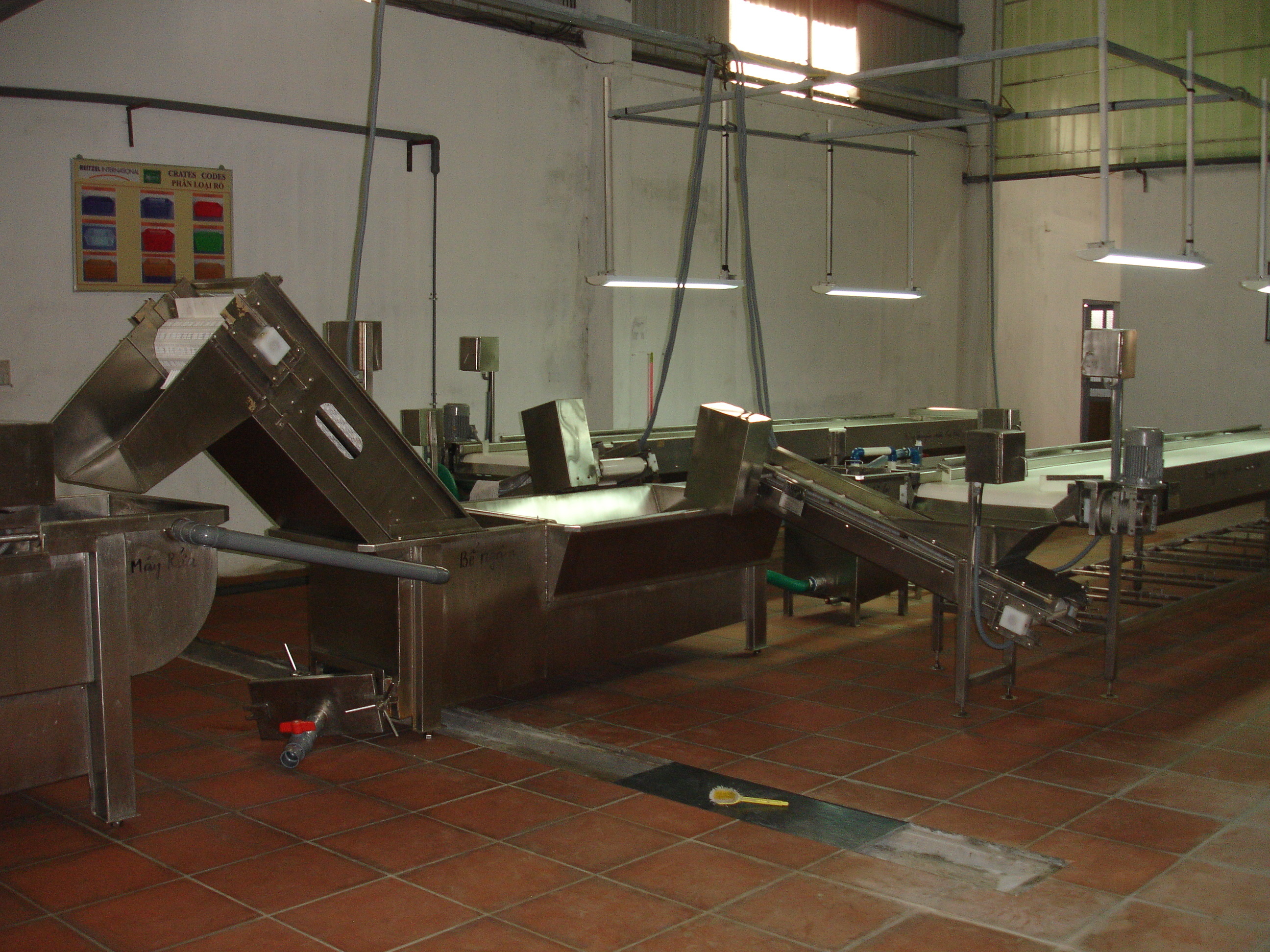 Gherkin Bulk Line Processing Machinery