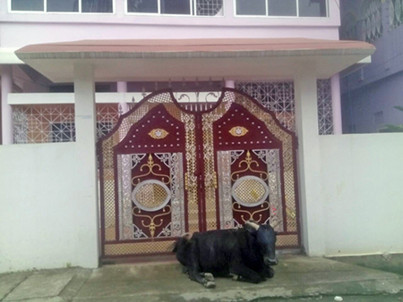 सजावटी स्टील के दरवाज़े