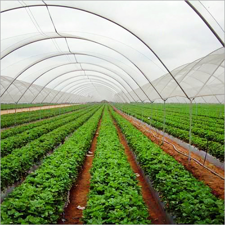 ब्लैक शेड नेट