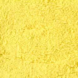 Fresh Corn Flour - Cultivation Type: Normal