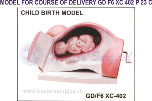 डिलीवरी के लिए मॉडल