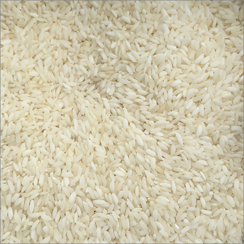 Sona Masoori Steam at Best Price in Agra, Uttar Pradesh | Raani Maa Exports