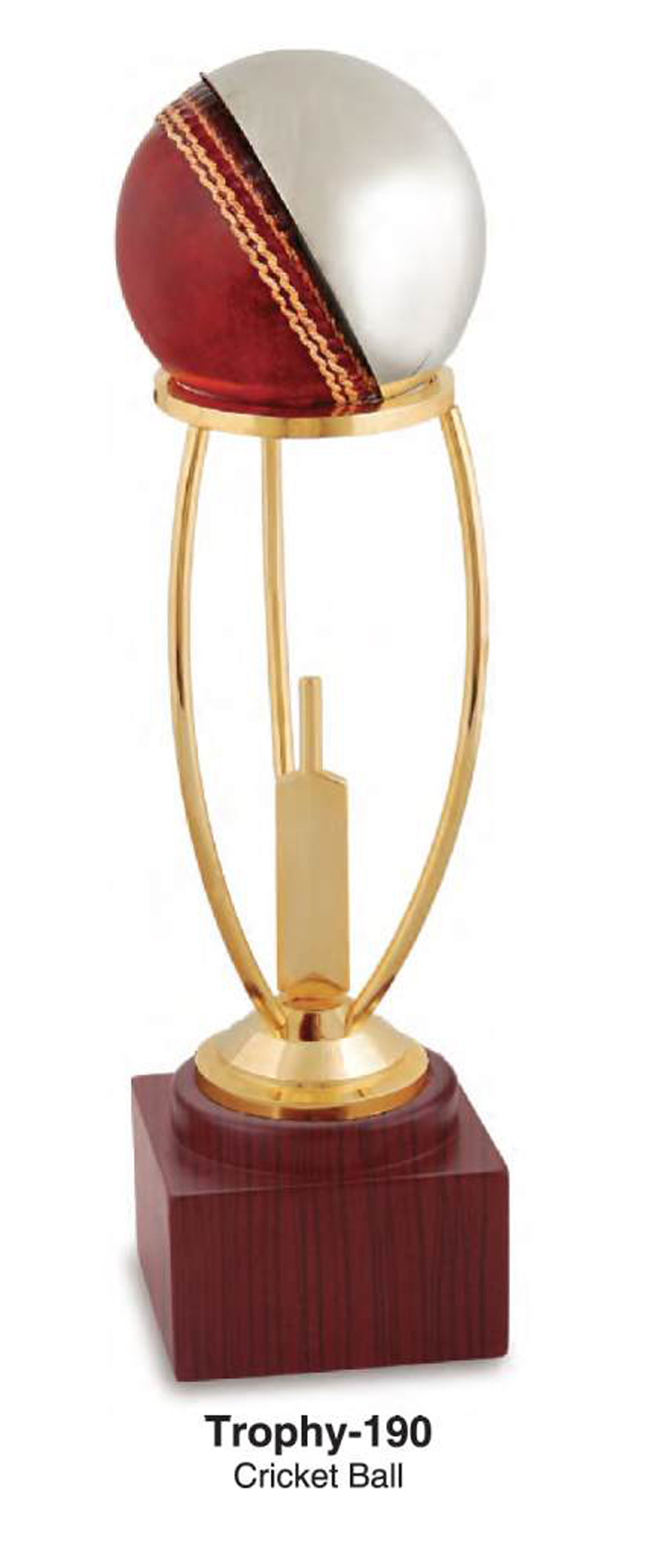 Cricket Trophy