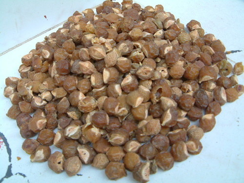 साबुन नट के खोल