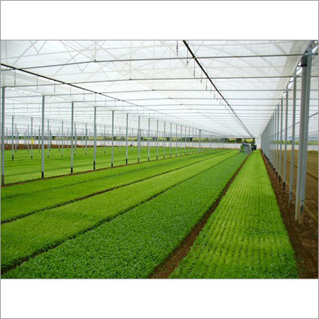 Industrial Green House