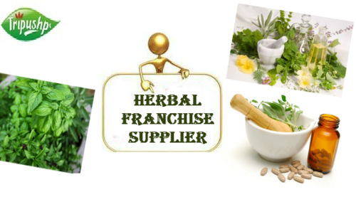 Herbal Products Pcd Pharma Franchise