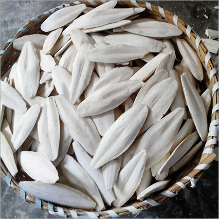 ताजा कट्टलफिश हड्डी