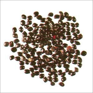 कैसिया एबीसस के बीज