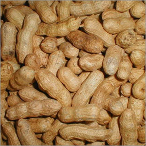 मूंगफली