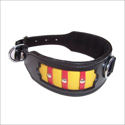 डिजाइनर पालतू collar