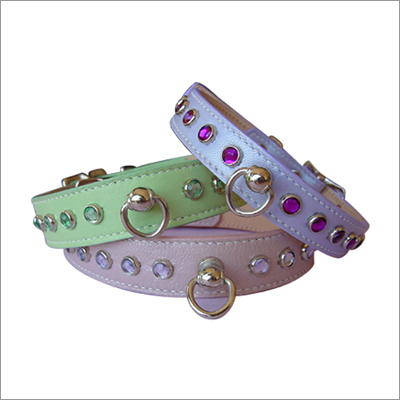 मोती जड़े कुत्ते के हार