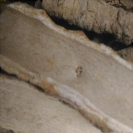 लोढ़