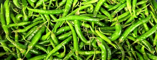ताजा हरी मिर्च
