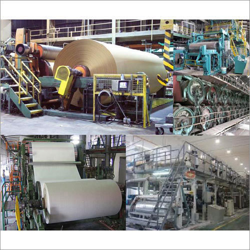 Pulp & Paper Segment