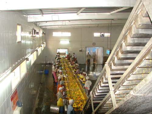 Mango Processing Machinery
