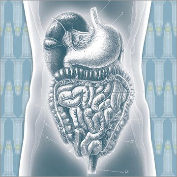 Ftlyo Viral Gastroenteritis