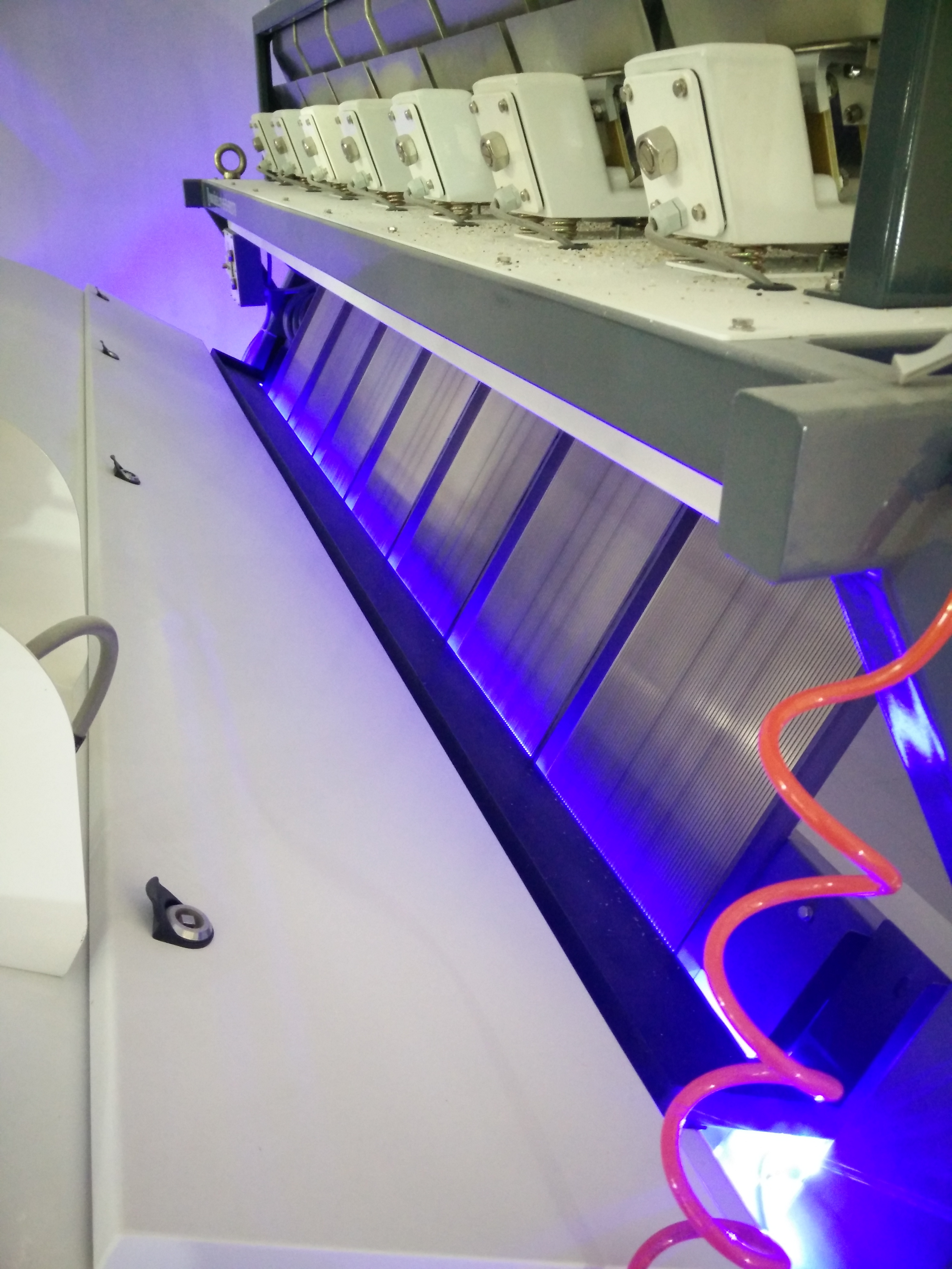 Black Rice Color Sorter Machine