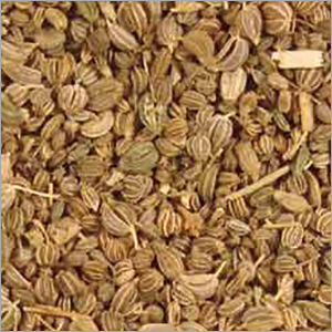 Celery Seed Essential Oil - 99% Purity, 10 kg Plastic Cane Pack | Sweet, Warm & Earthy Aroma, Functional Diuretic for Blood Pressure Support, Rich in Vitamins and Minerals, Sedative Properties for Headaches and Sleeplessness