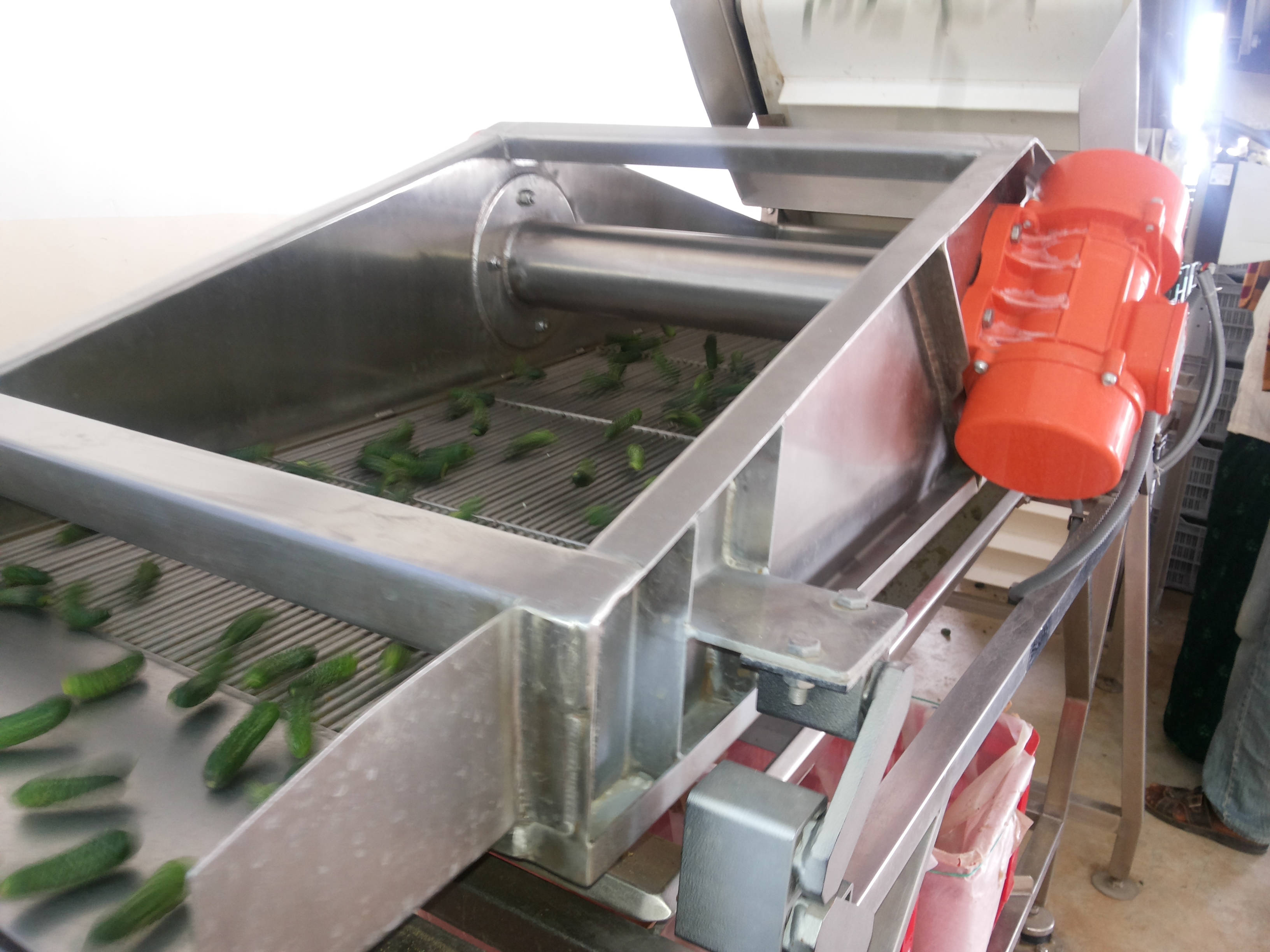 Gherkin Bulk Line Processing Machinery
