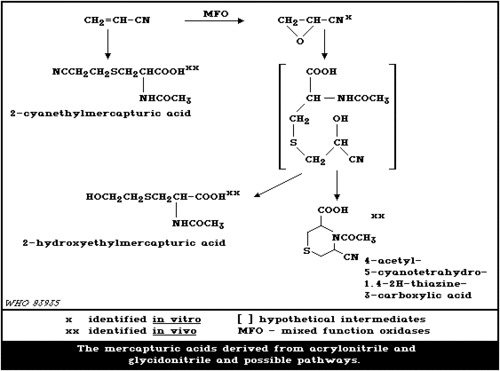 Acrylonitrile Solution Density: 810 Kilogram Per Cubic Meter (Kg/M3)