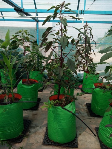 HDPE Grow Bags (Green & Orange)