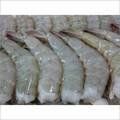 Raw Headless Shell On Vannamei Shrimps
