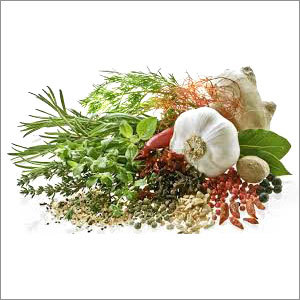MEDICAL HERBALS