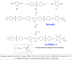 Anions - Whole Volume - WP