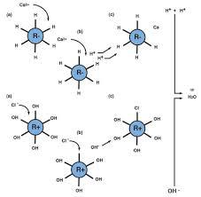 पानी में आयन्स - निम्न स्तर