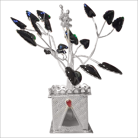 Silver Tulsi Plant