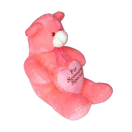 Teddy