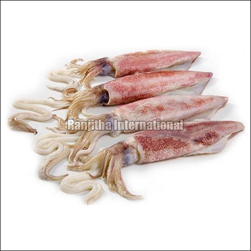 स्क्विड फिश