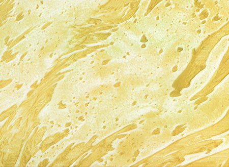 स्प्रे पेंट