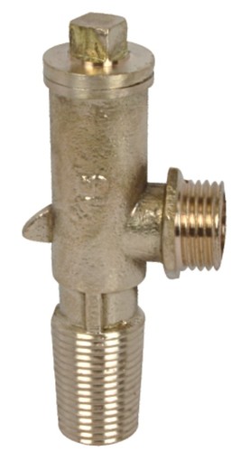 फेरुल कॉक