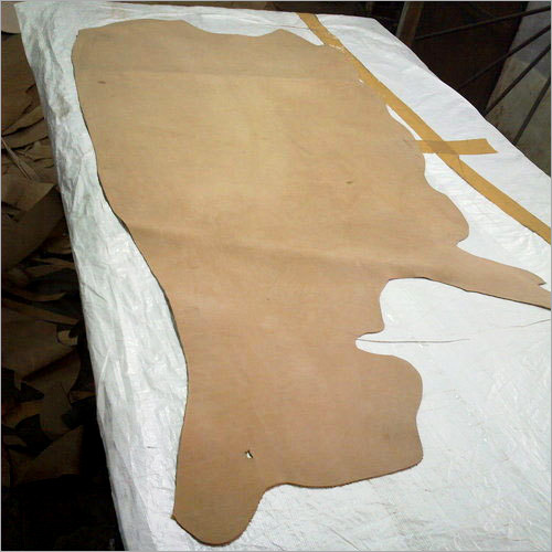 सादा चमड़ा