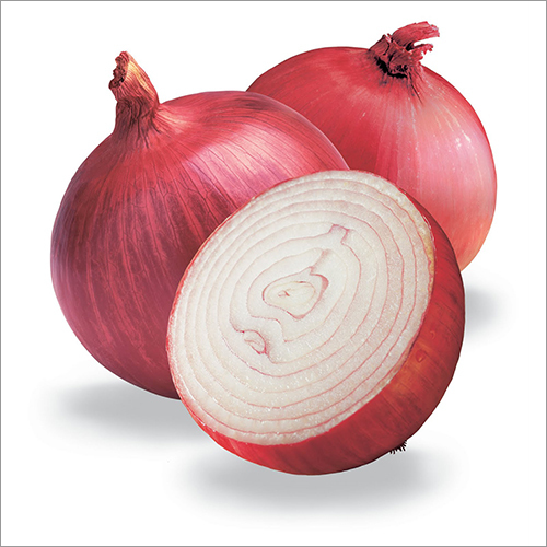 लाल प्याज