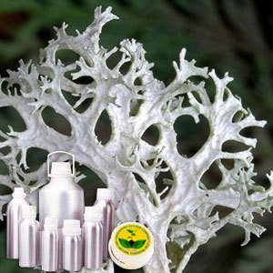 Oakmoss Absolute Oil