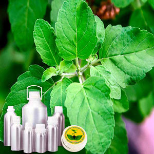 एनेथोल 99.5% प्लस (एक्स बेसिल)