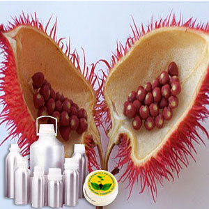 एनाट्टो बटर कलर