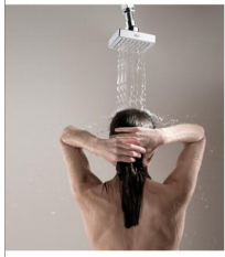 SS Shower Head