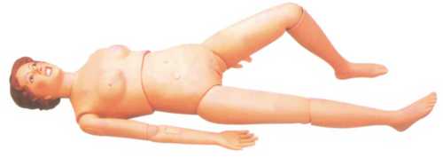 नर्सिंग मैनिकिन (बेसिक)