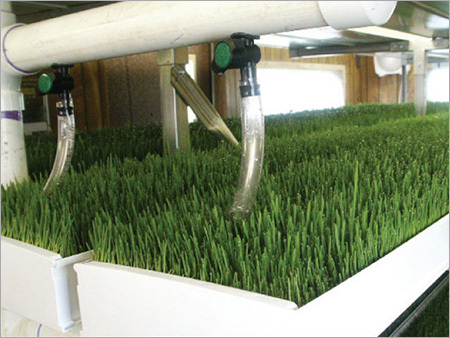 Hydroponic Farming Fodder Machines