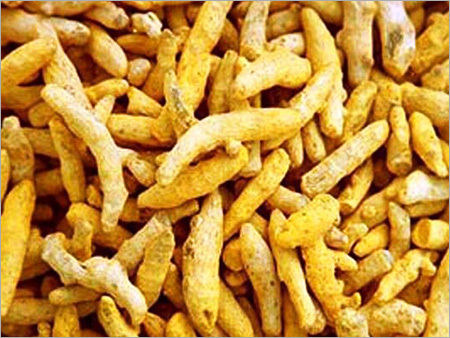 सूखी हल्दी की अंगुलियाँ