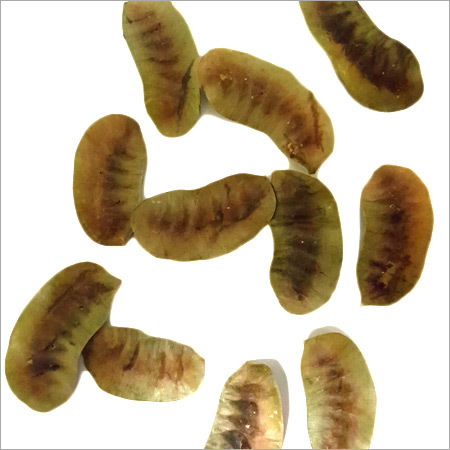 सेना पॉड्स