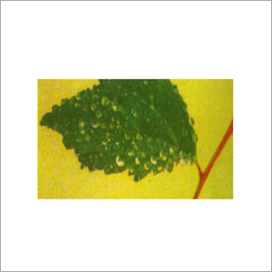 Nutrastick सहायक